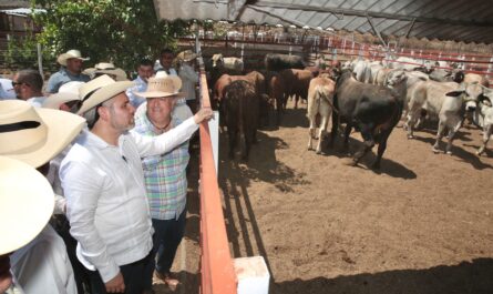 Alfredo Ramírez Bedolla ganaderia