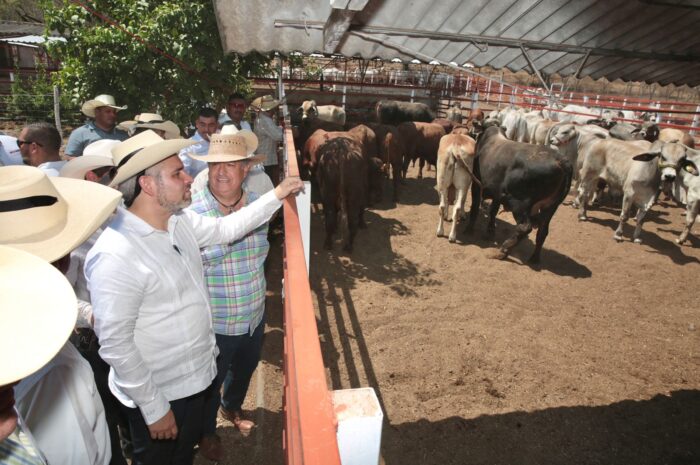 Alfredo Ramírez Bedolla refrenda su compromiso para potenciar la ganadería michoacana