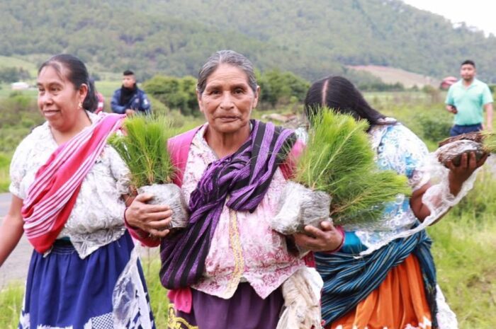 Respalda Gobierno de Michoacán a comunidades indígenas en preservación de áreas naturales